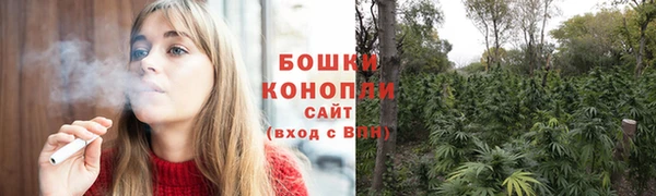 ГАЛЛЮЦИНОГЕННЫЕ ГРИБЫ Арсеньев