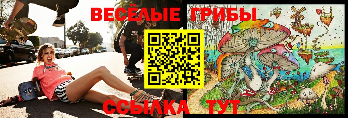 Галлюциногенные грибы мухоморы  Вход с VPN  Псилоцибиновые грибы Psilocybe  Белово 