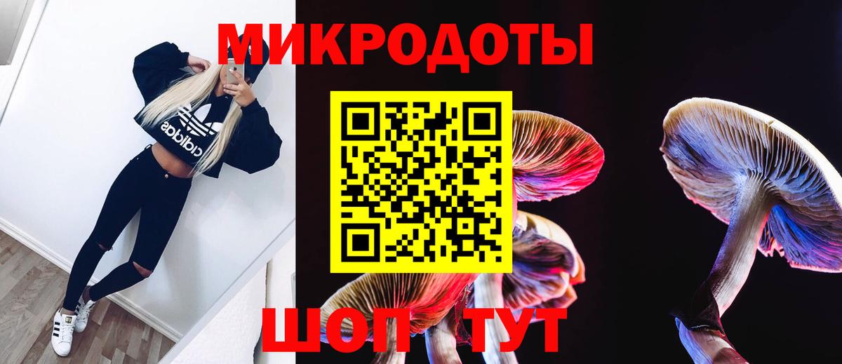 Псилоцибиновые грибы GOLDEN TEACHER Белово